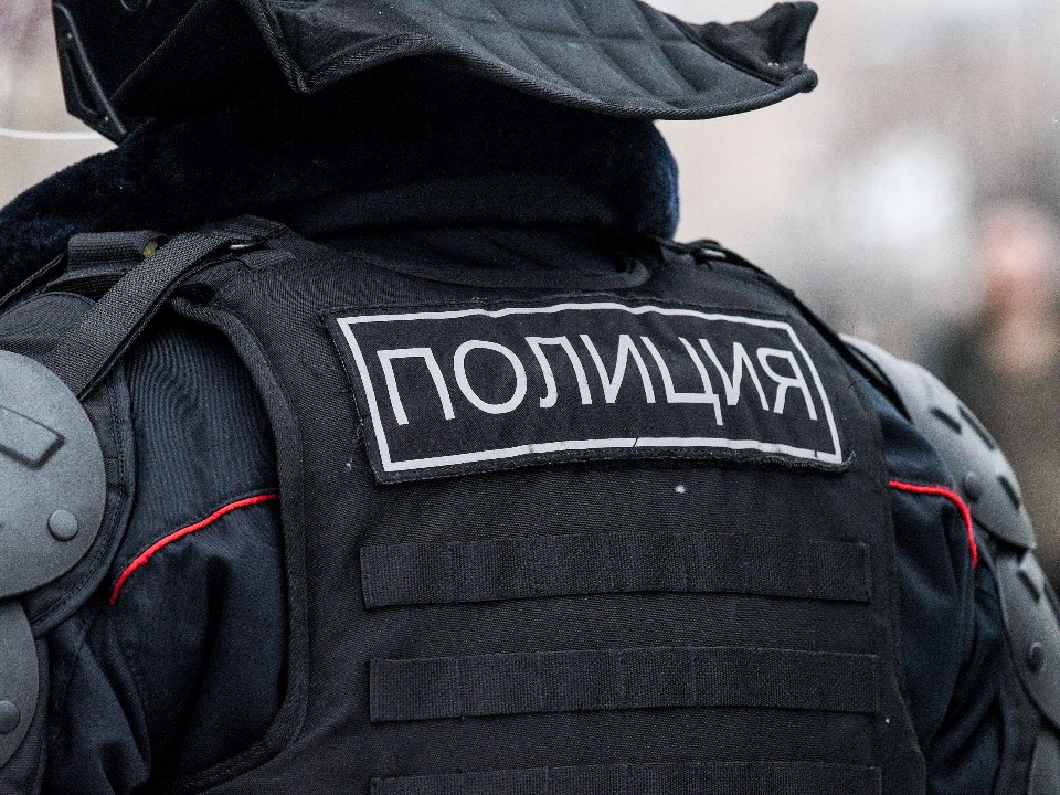 Мужчина разделся, сжег паспорт и занялся непристойностями возле аэропорта Шереметьево