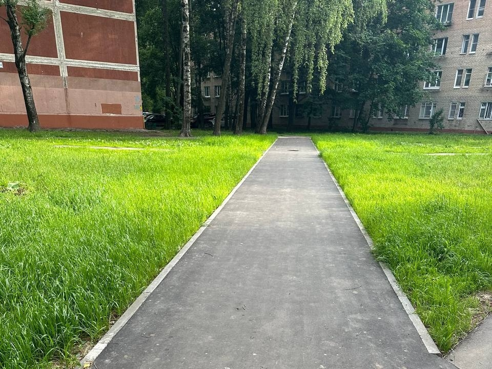 Все 14 новых пешеходных троп в Долгопрудном заасфальтировали