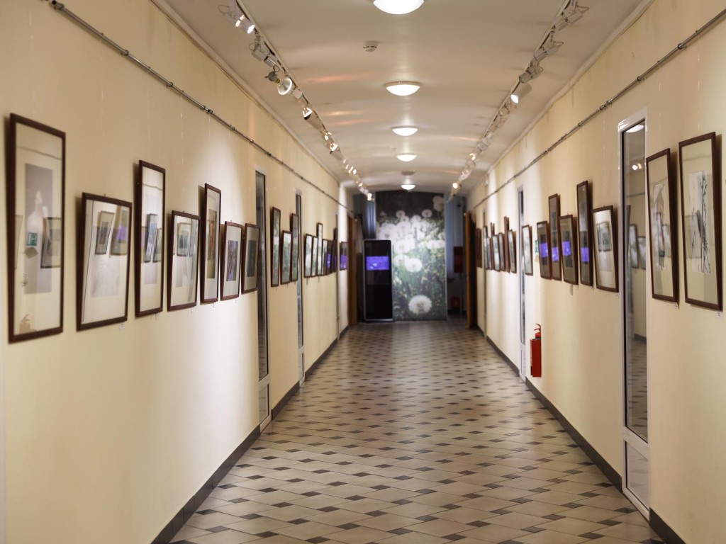 В Раменском музее открылась фотовыставка «Птицы России»
