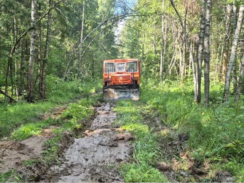 Новые дороги в Подмосковье помогут бороться с лесными пожарами