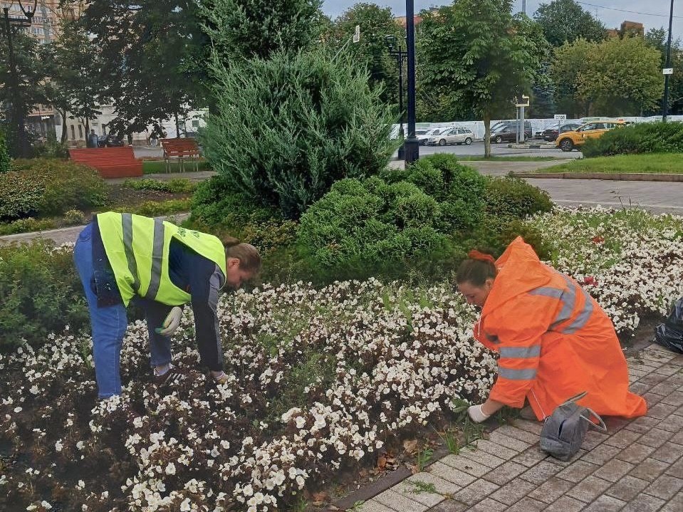 В Истринском округе высадили более 5 тыс. цветов