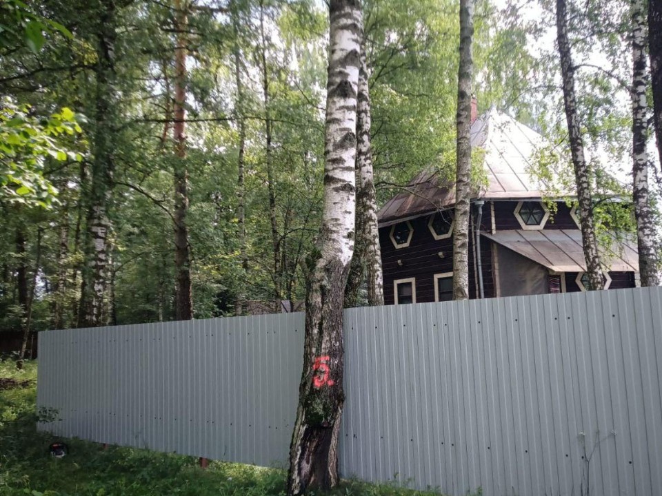 Лесники Раменского очищают леса от сухостоя и упавших деревьев