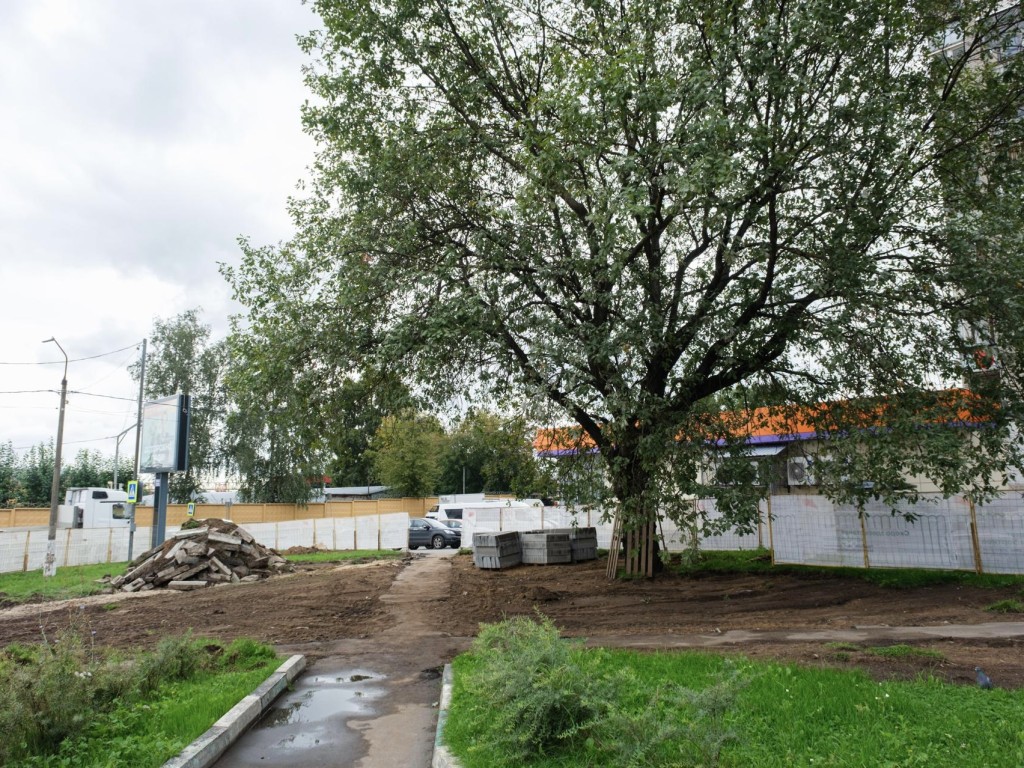 В Лыткарине начали строить сквер на Парковой улице