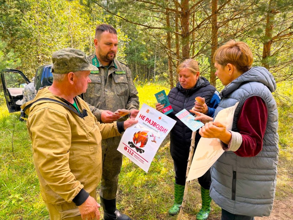 Лесничие рассказали воскресенцам, как безопасно собирать грибы в лесу