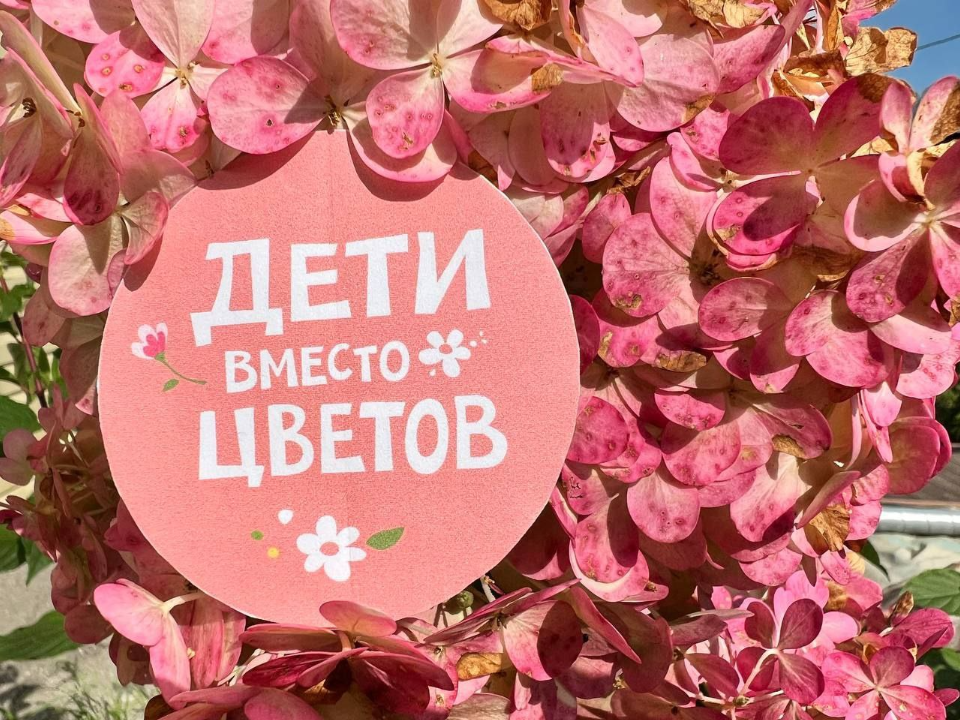Все школы Дзержинского станут участниками акции «Дети вместо цветов»