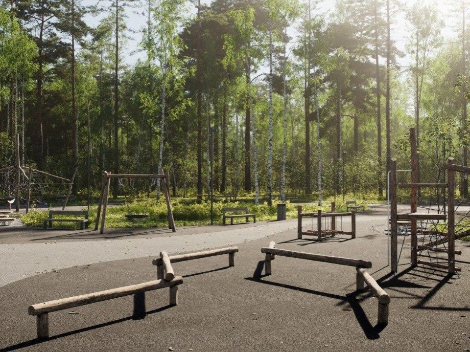В «Банном лесу» в Пушкино обустроят скейт-парк и зоны отдыха