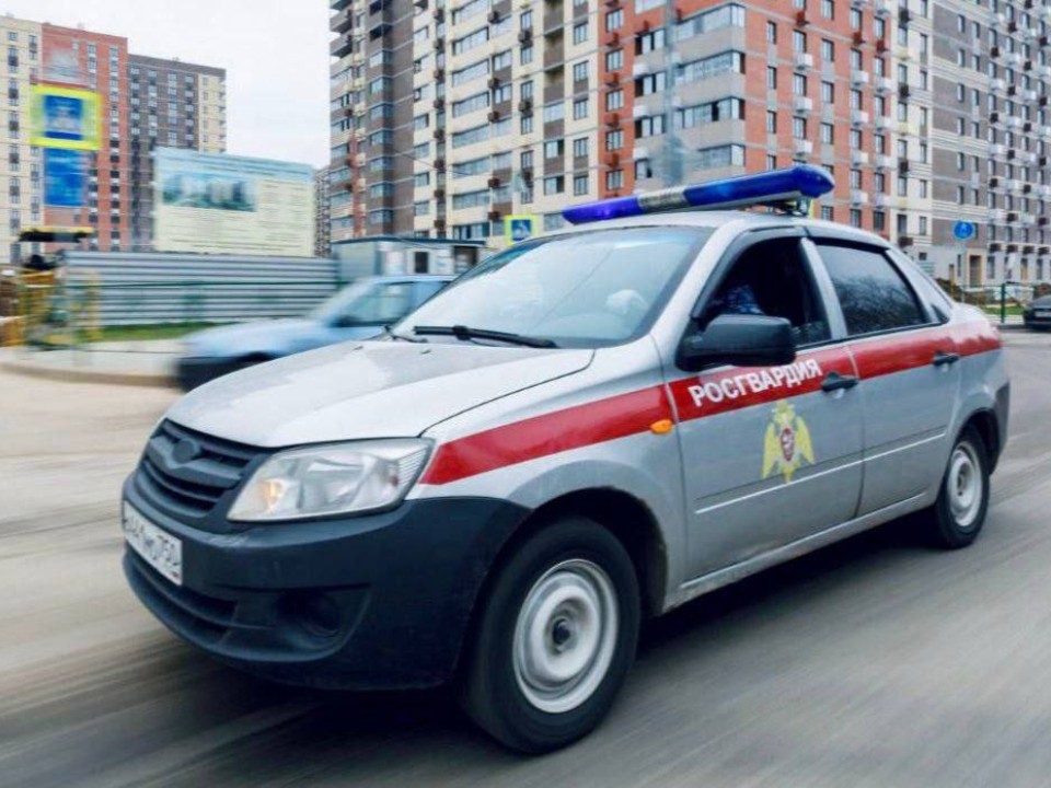 Росгвардейцы задержали мужчину, устроившего стрельбу в Талдоме