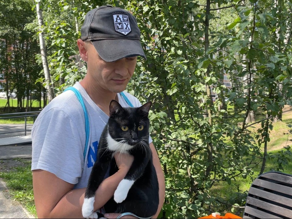 Около двух тысяч животных Балашихи вакцинировали от бешенства с начала 2025 года