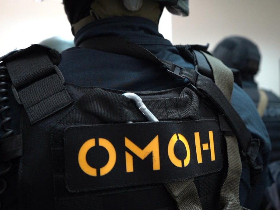 Опубликовано видео задержания инострацев-нелегалов в Электростали