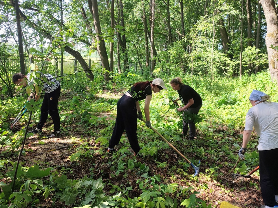 Коломенские студенты возрождают семейную усадьбу Достоевских