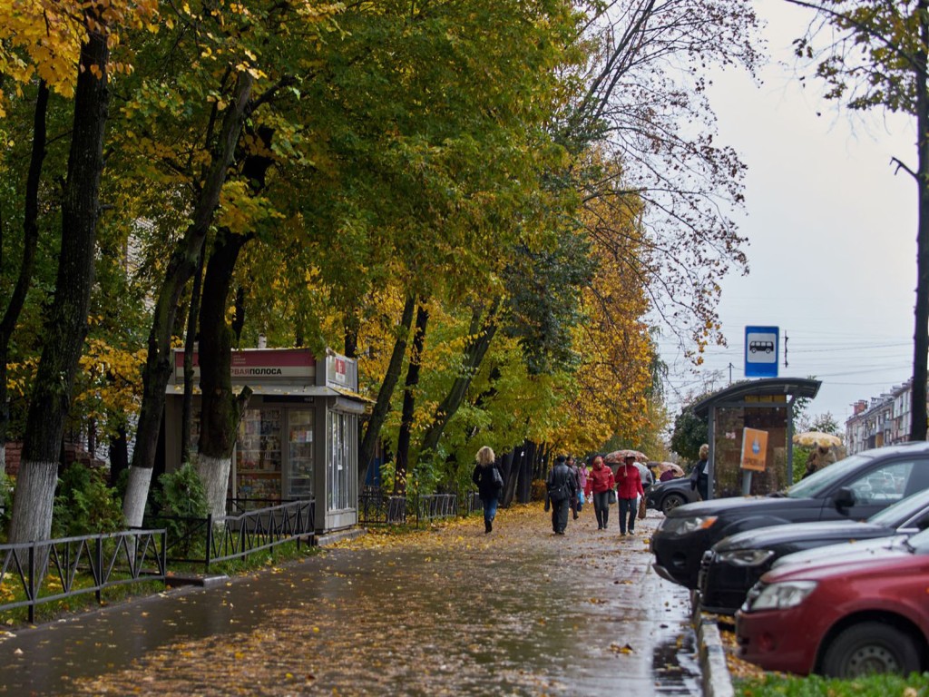 Осенний холод придет в эти дни в Подмосковье