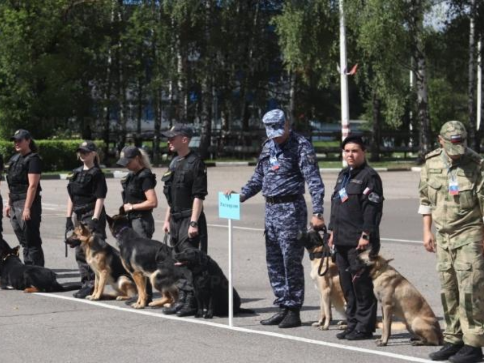 В Подмосковье стартовал чемпионат кинологов МЧС России