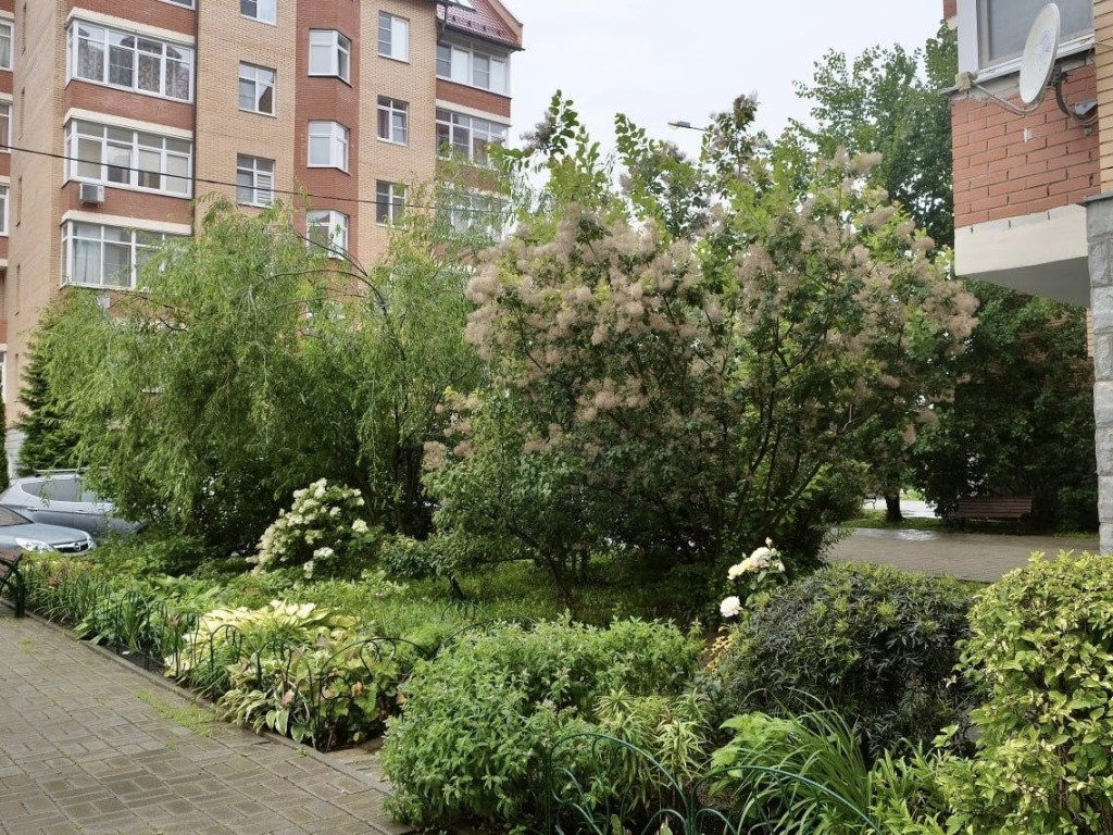В Красногорске жители выберут лучший двор