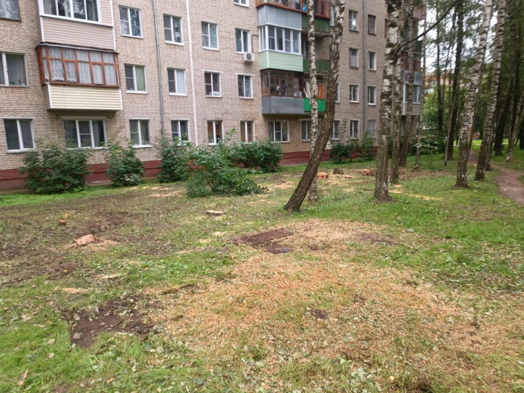 Спиленные деревья убрали во дворе на Ленина в Наро-Фоминске после обращения жителей