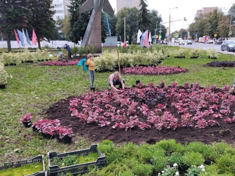 Город становится зеленее: во дворах и общественных зонах высаживают деревья, кустарники и цветы