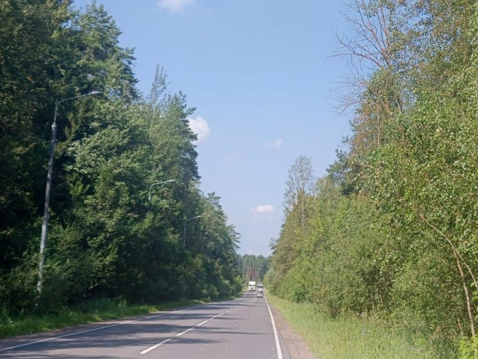 Экологическая очистка леса началась в Ногинском округе