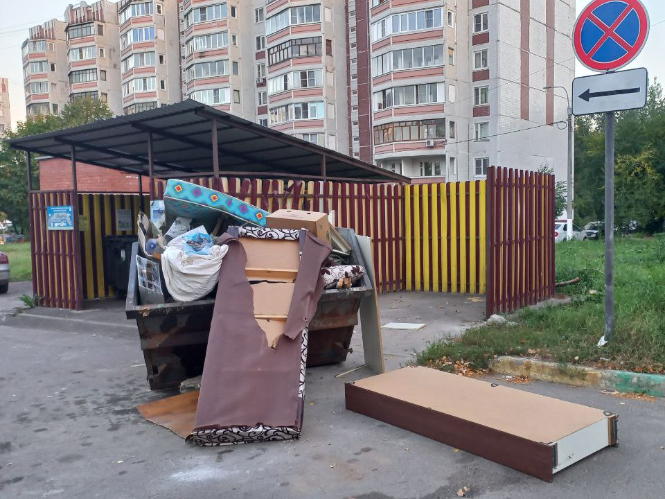 В Электростали обнаружены машины, из которых выбрасывали мусор в неположенном месте