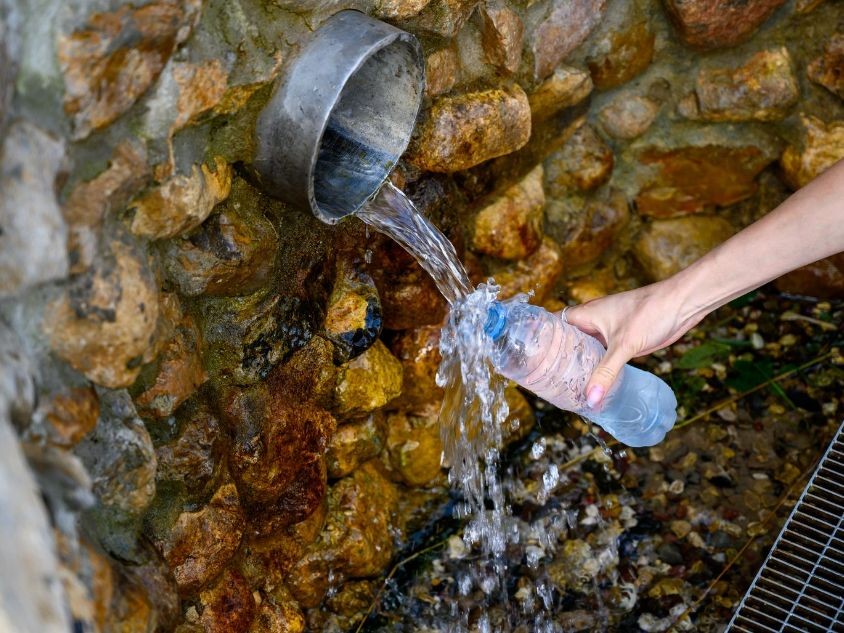 Проверили воду в можайских родниках: пить можно не из всех