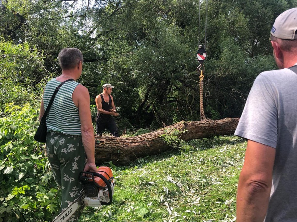 На берегу Березни во время экологической акции собрали три кубометра мусора