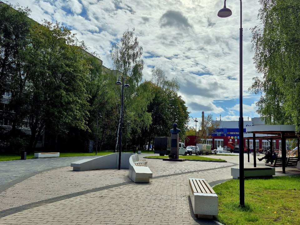 Семиметровое дерево посадят на месте погибшей елки в сквере Журавлева