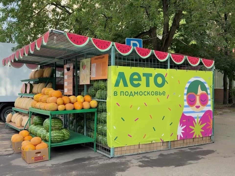 Как по звуку, цвету и пятну вычислить идеально сахарный арбуз