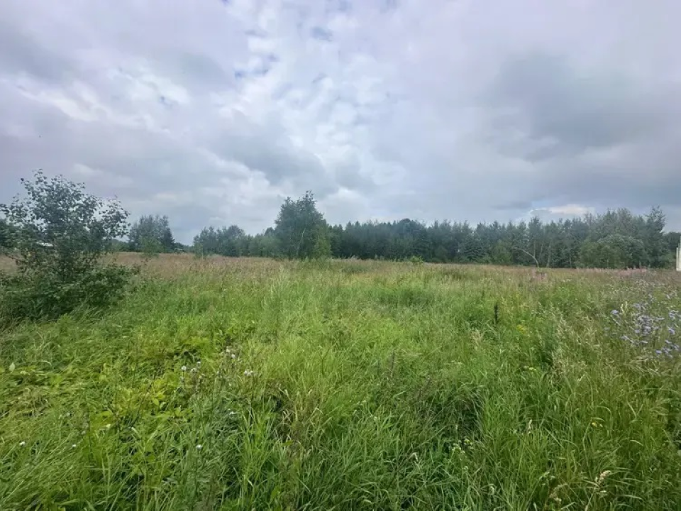Стоимость участков в Богородском округе выросла за неделю