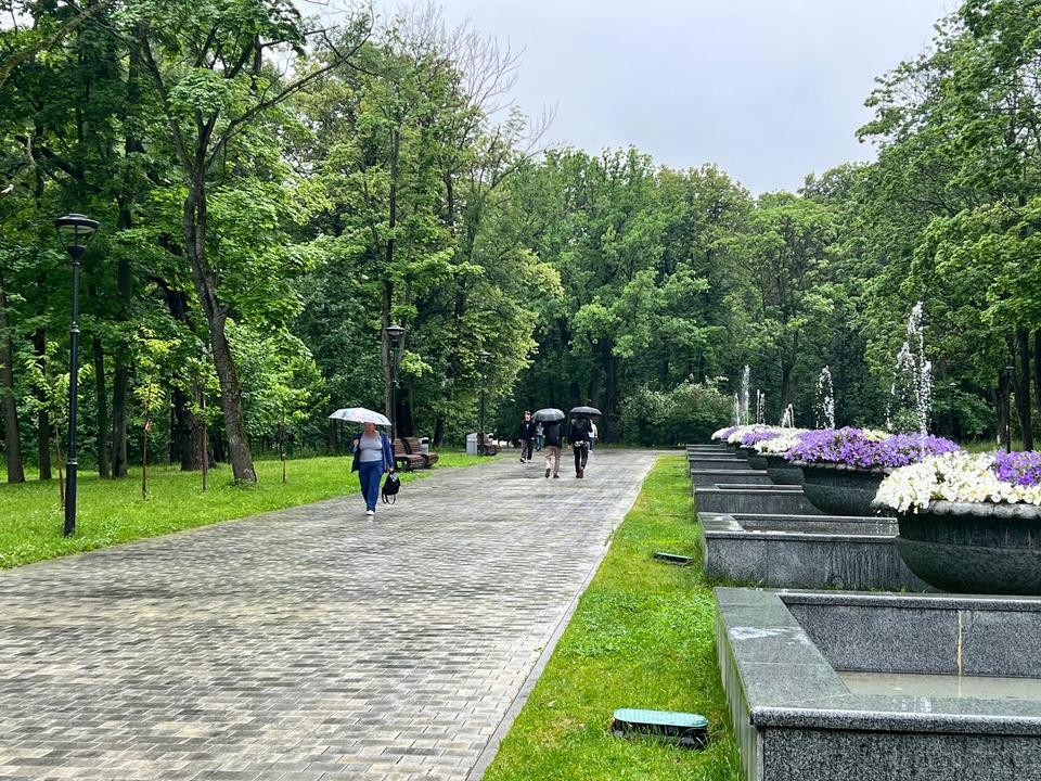 Аномальное похолодание до +9°С придет в Подмосковье в ближайшую ночь