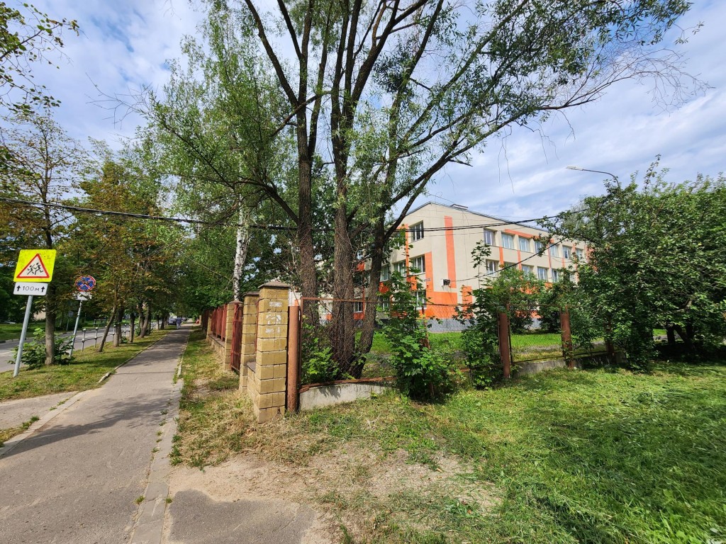 При строительстве спортплощадки в школе поселка Биокомбината старые дубы не пострадают