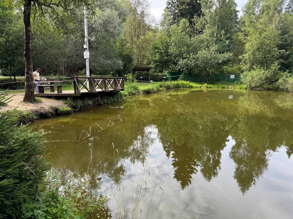 Экологи взяли пробы воды для определения причин гибели рыбы в Мытищах