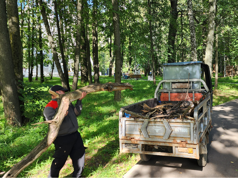 В парке Толстого в Химках убрали сухостой и обновили газон