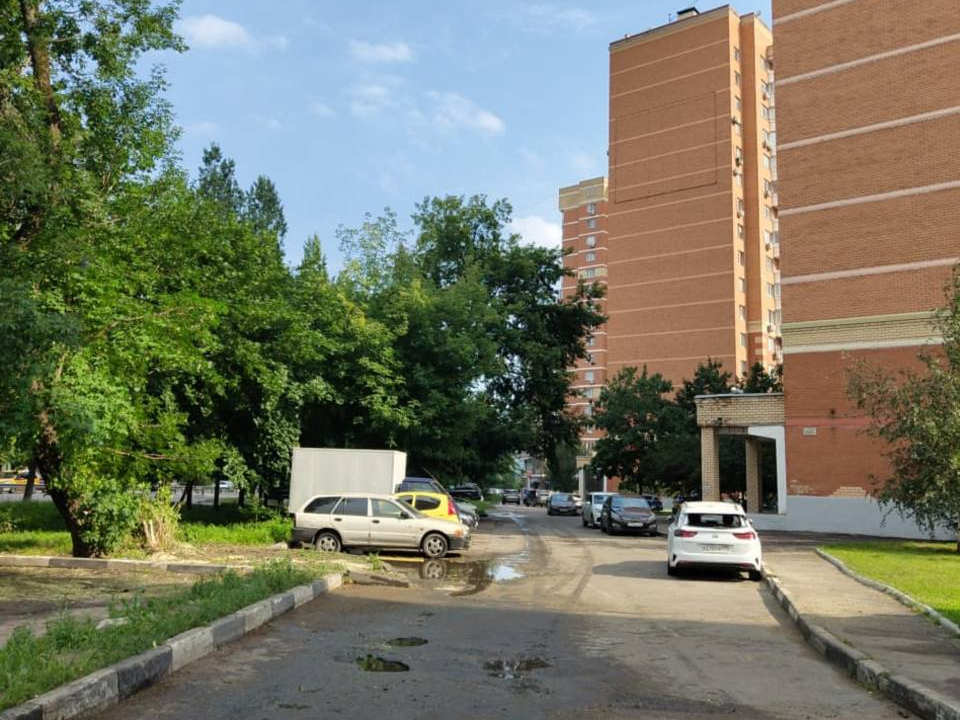 Рухнувшее дерево во дворе по Октябрьскому проспекту убрали коммунальщики
