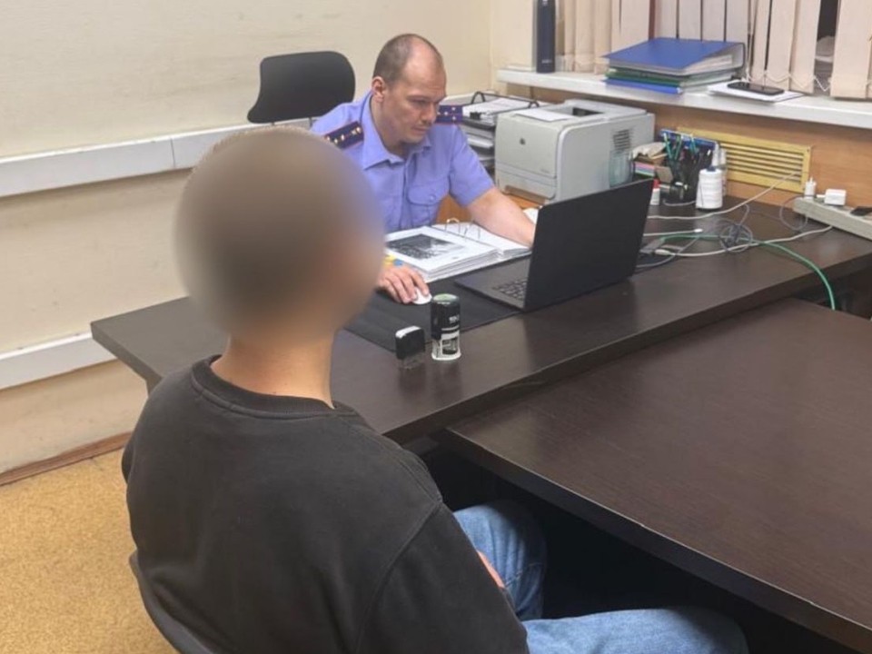 СК расследует уголовное дело о хулиганстве в подмосковной электричке