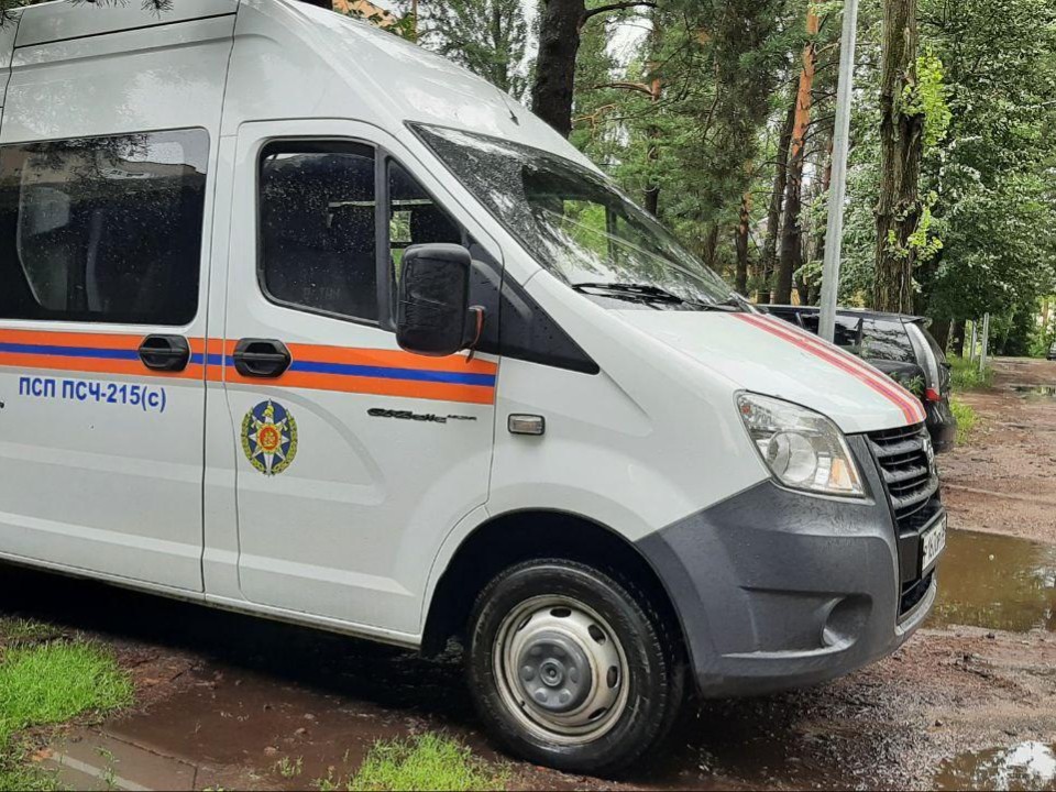 Спасатели помогли собаке, застрявшей на островке суши в заболоченном лесу в Талдоме