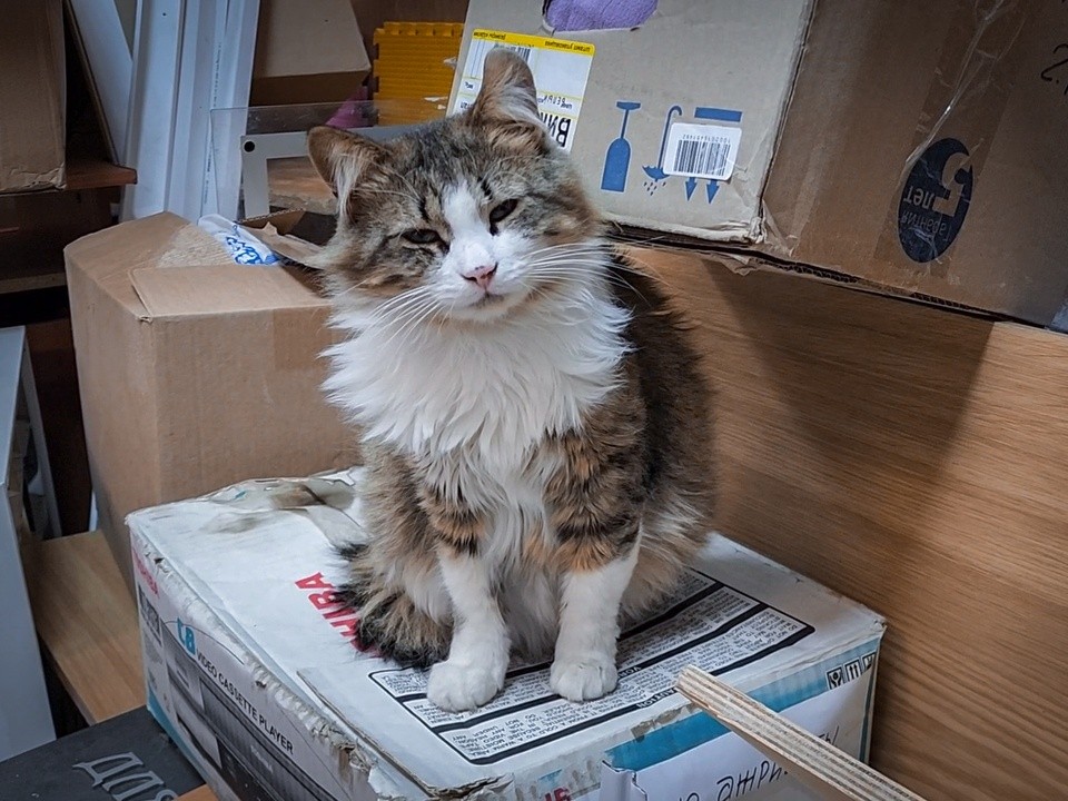 В молодежном центре «Алиби» собирают гуманитарную помощь бойцам СВО и канцелярию для школьников Донбасса