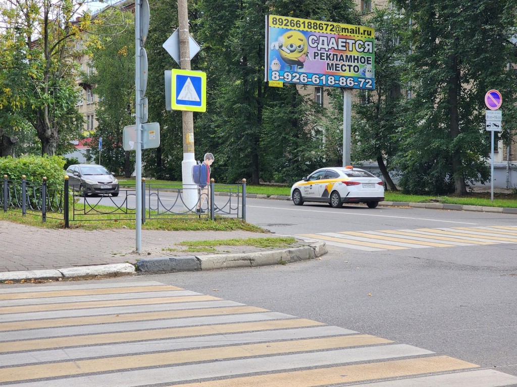 Стало известно, на каких улицах Электростали у пешеходных переходов стоят макеты школьников