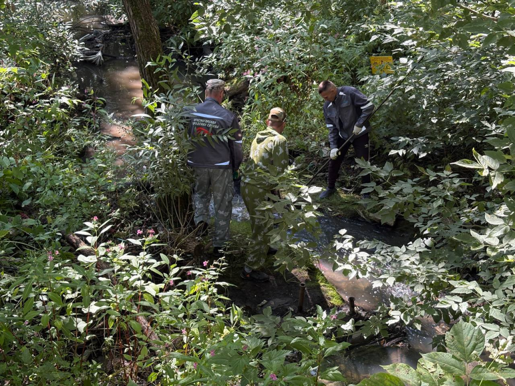 Волонтеры вынесли более восьми кубометров мусора с берега Курицы
