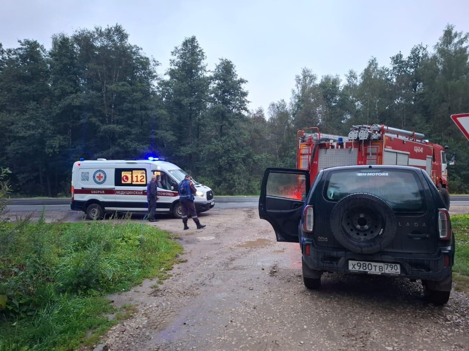 Поисковая группа разыскала женщину, заблудившуюся в лесу под Серпуховом