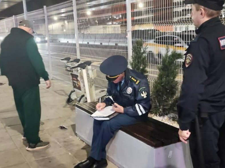 В аэропортах Подмосковья начались облавы на «зазывал» на такси