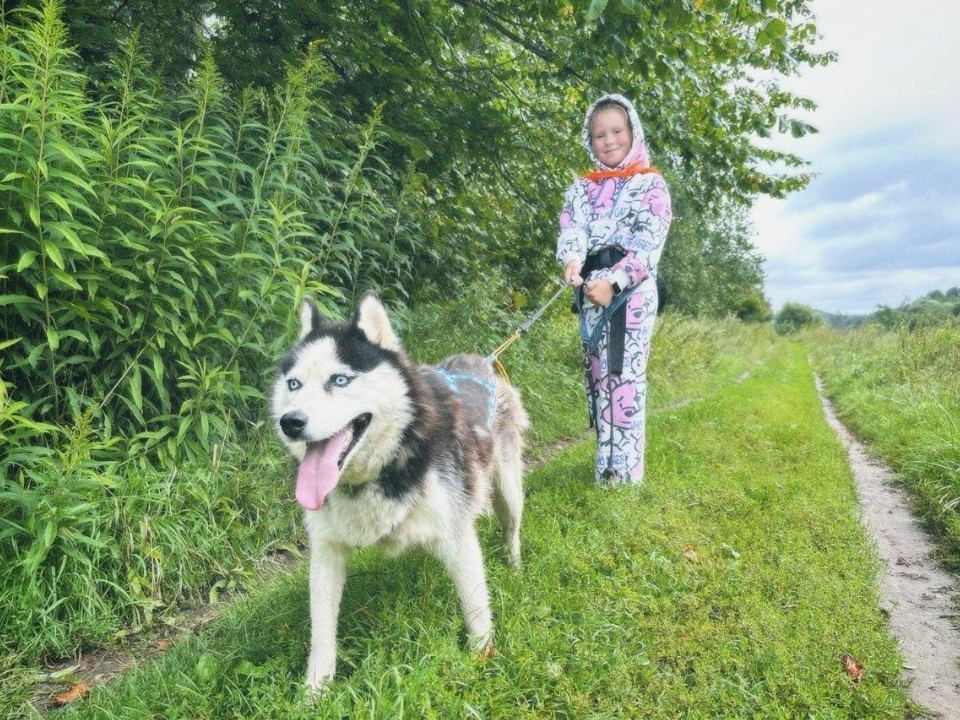 Рузские школьники узнали, что такое хаскитерапия