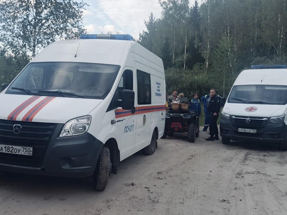 Спасатели оказали помощь женщине с травмой ноги в округе Егорьевск