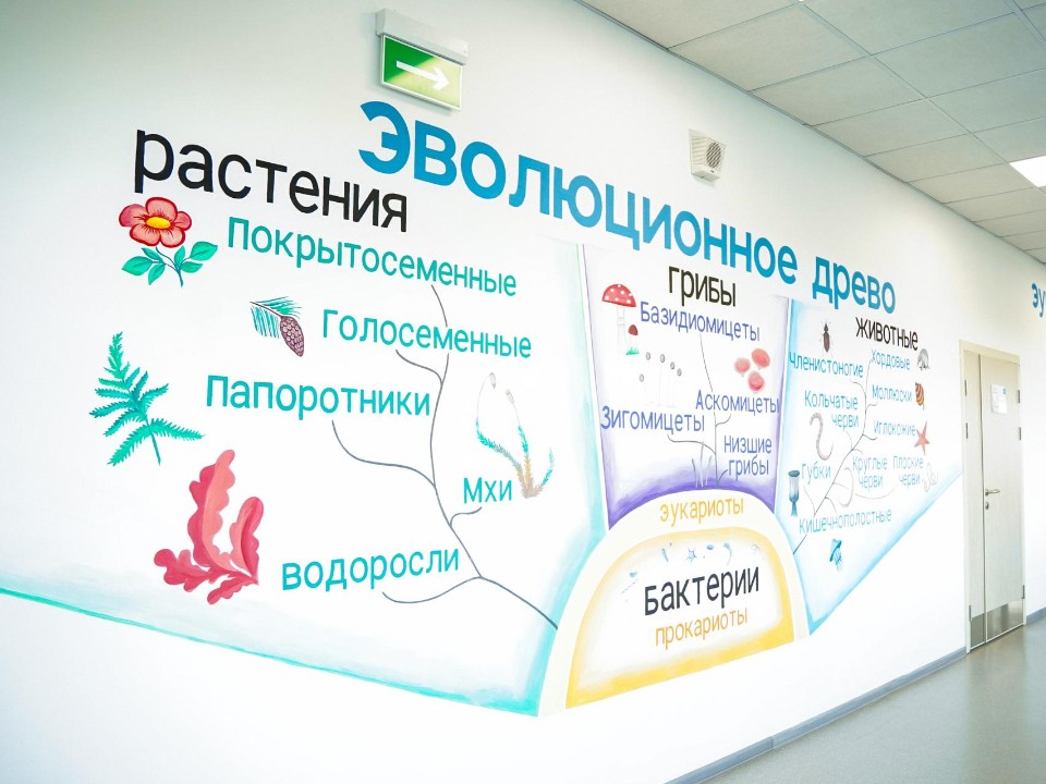 В лицее Шатуры расписали стены учебным материалом