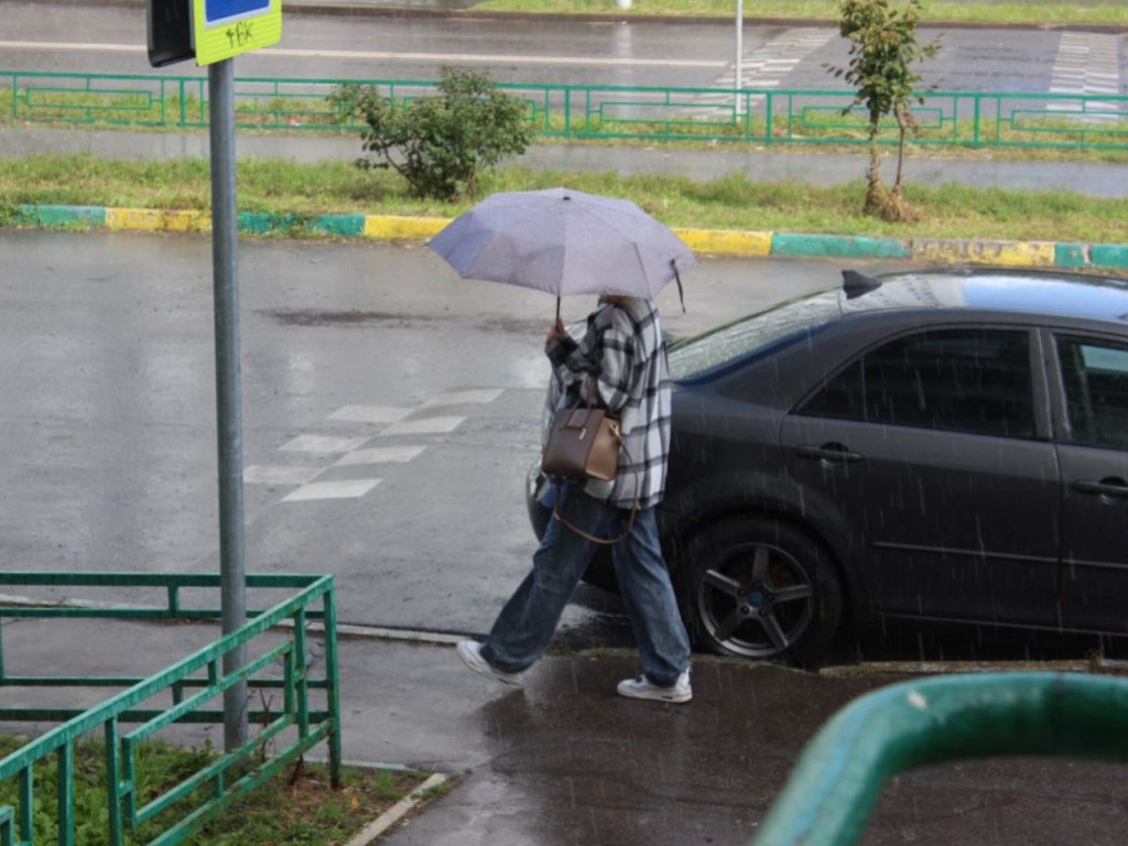 Дожди и похолодание до +8: когда закончится жара в Подмосковье