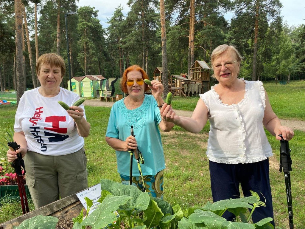 Огурцы, тыкву и сельдерей выращивают жители Котельников в Кузьминском лесопарке
