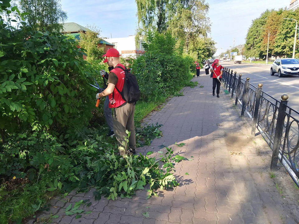 Трудовые отряды главы за неделю убрали в Электростали более 18 кубометров мусора