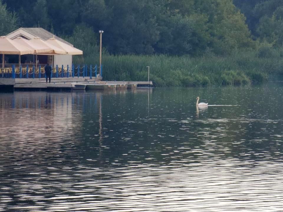 Горожане выдвигают версию о загрязнении реки Яузы сточными водами из Работни