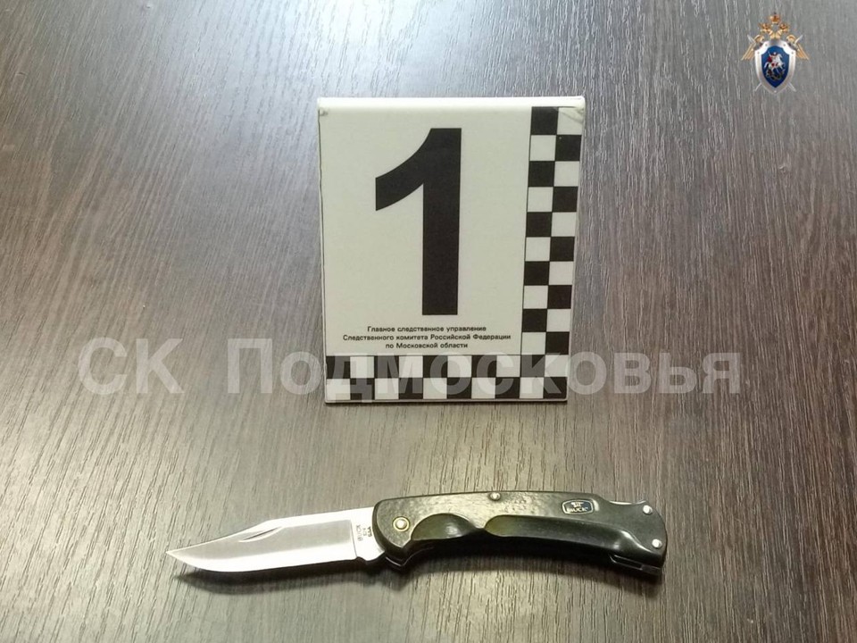 СК возбудил уголовное дело по факту убийства 33-летнего жителя Мытищ