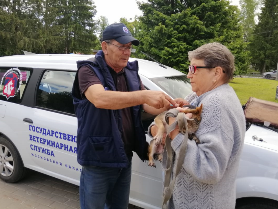 Когда и к каким дачникам приедут вакцинировать домашних питомцев
