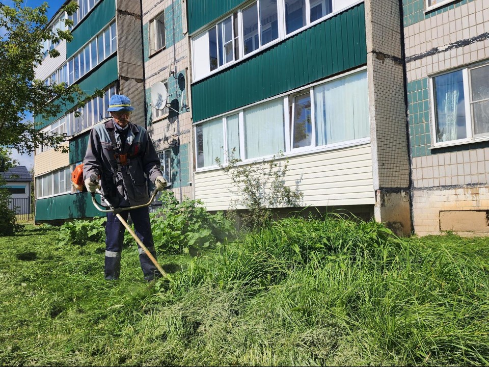 Управляющая компания навела порядок у домов на Центральной в Кострове