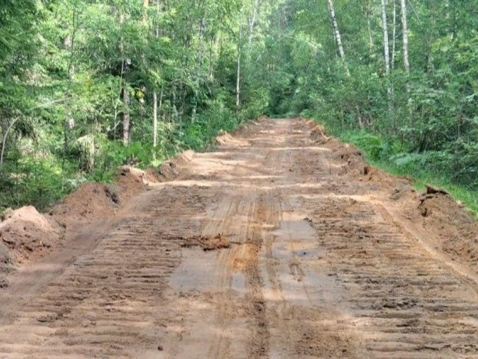 Ремонт лесных дорог в Орехово-Зуеве снизит риск пожаров