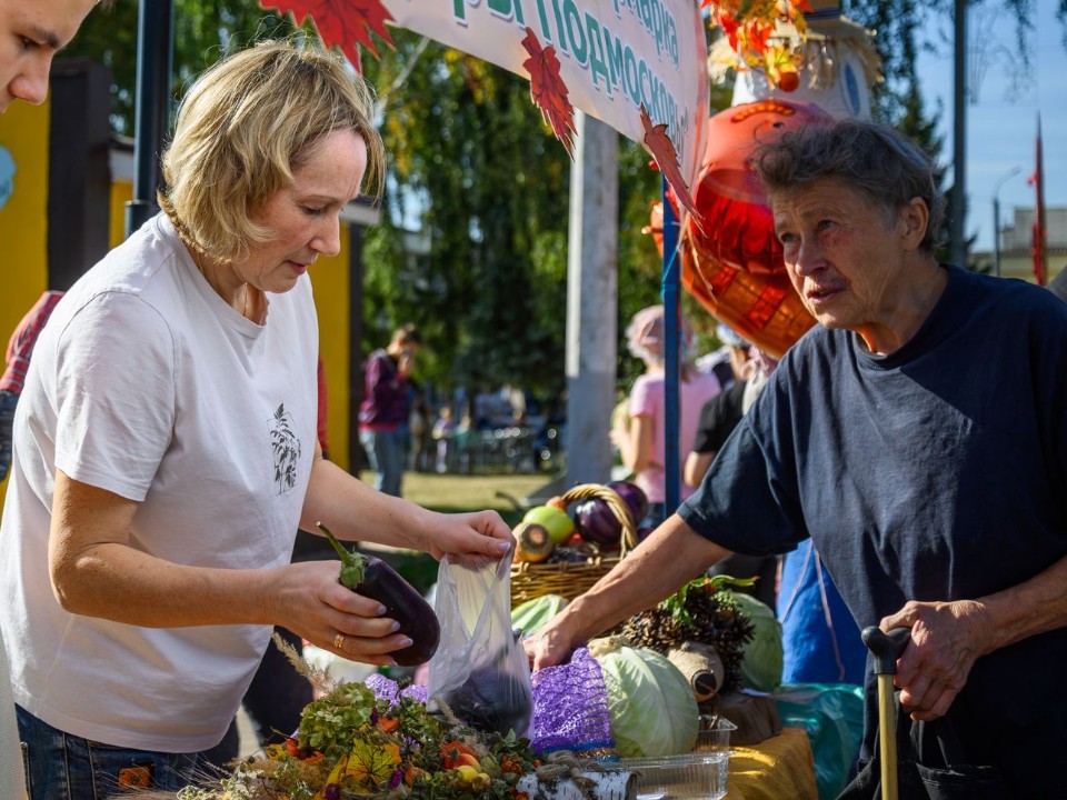 До конца лета купить одежду и продукты волоколамцы смогут на ярмарке